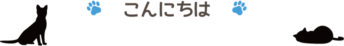 こんにちわ